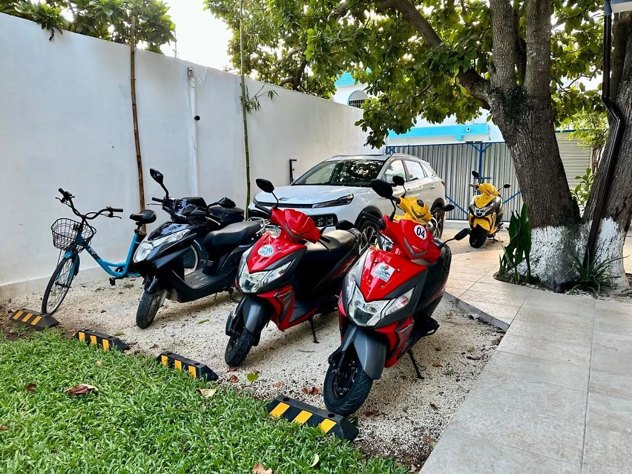 Cozumel 400A - Vacation Rental Apartment