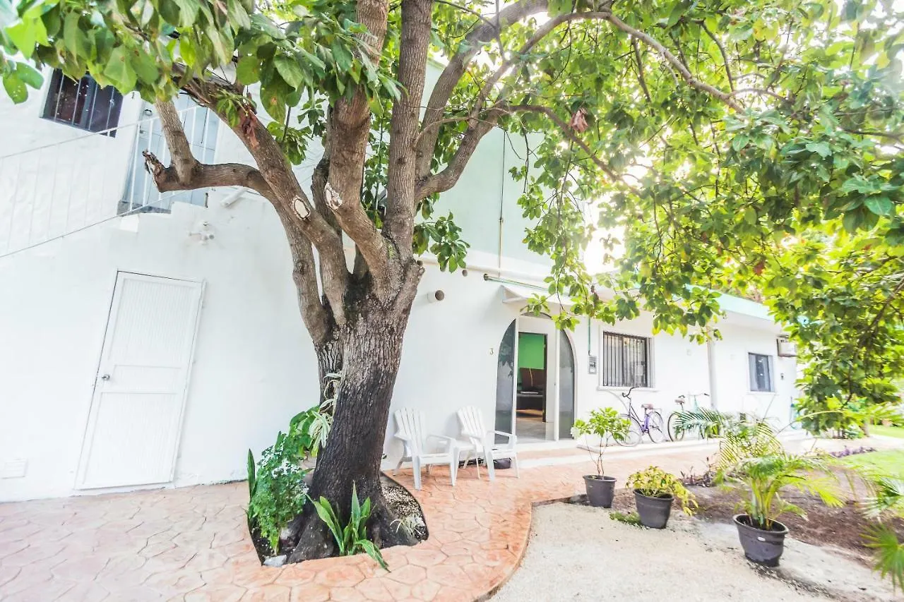 Cozumel 400A - Vacation Rental Apartment